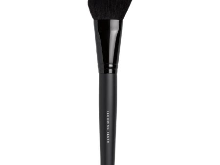 Blooming Blush Brush pędzel do różu For Discount